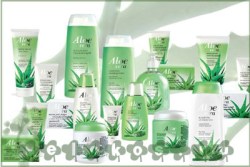 aloe_vera__4c41d229ae7f1