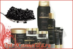 bio______________56717de1af5a6