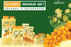 oblep_lip_cvet-cat