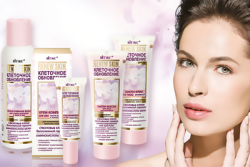 renew_skin_5a435cc846723