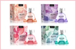 senti_5c975b120f29a