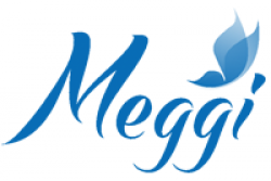 meggi_625c13da0a7a4