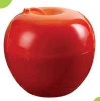 organix6